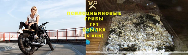 МДПВ Алексеевка