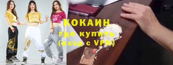 гидра Алексин