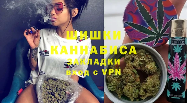 гидра Алексин