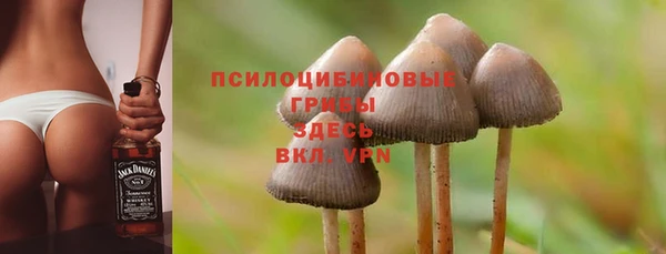 гидра Алексин