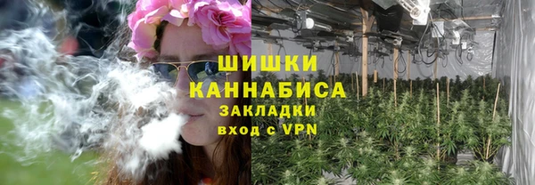 гидра Алексин